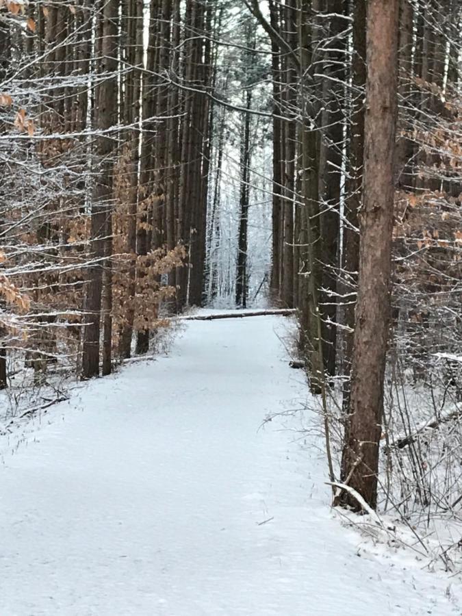 Le Gite De La Riviere Bromont Exterior photo